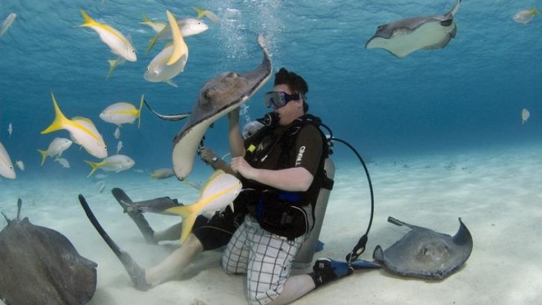 10 Dive Spots In India That Can must Experience Of A Lifetime