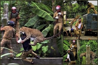 Checkout These Terrifying Pictures Of Animals Attacking Humans