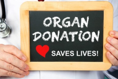 Would you donate an organ to a stranger?